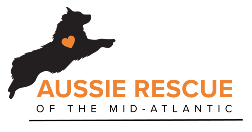 Aussie Rescue of the Mid-Atlantic